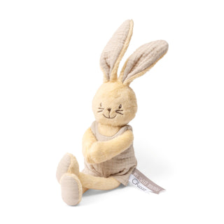 Chicco Peluche Coelhinho Amoroso - Brinquedo Sensorial Bebé