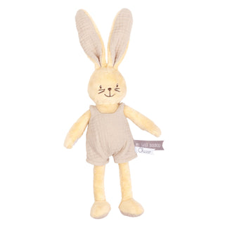 Chicco Peluche Coelhinho Amoroso - Brinquedo Sensorial Bebé