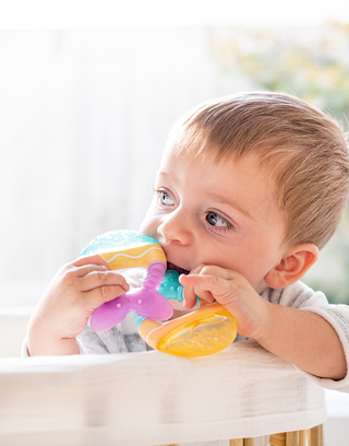 Saro Mordedor de Água Peixinhos x2 - Sortido