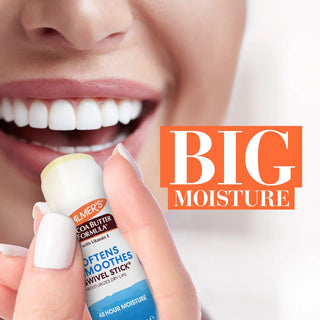 Palmer's Cocoa Butter Stick Labial 14g – Hidratação & Reparação