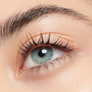 Catrice Lash/Brow Designer Gel