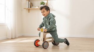 Mamatoyz Tribike - Bicicleta de Equilíbrio e Coordenação
