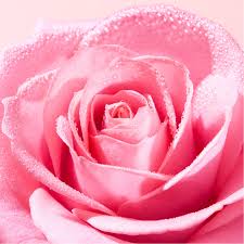 Nuxe Very Rose Esfoliante Rosto 75mL esfoliação suave pele sensível