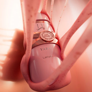 Lattafa Yara Elixir Eau de Parfum 100mL – Morango, Baunilha & Caramelo