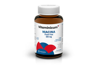Vitaminicum Niacina 90 Comprimidos - Energia, Fadiga e Sistema Nervoso