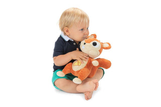 Chicco Esquilo Luzes e Música