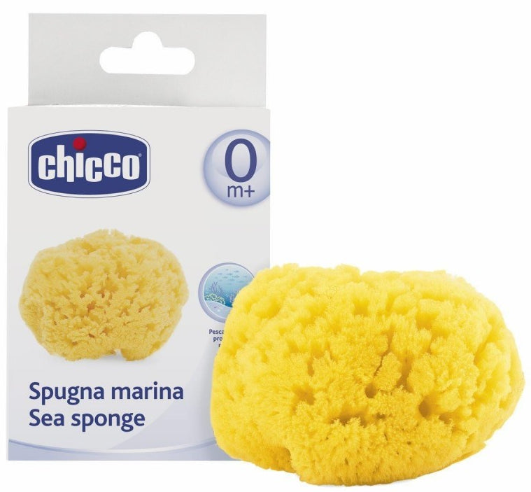 Chicco Esponja Marinha Grande