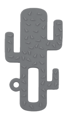 Minikoioi Mordedor Cactus Cinza
