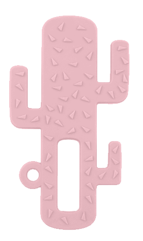 Minikoioi Mordedor Cactus Rosa