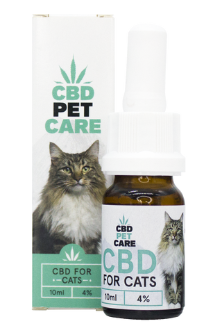 CBweed Óleo CBD para gatos 4% 10mL