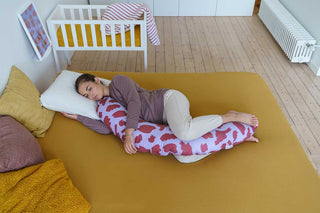 Doomoo Buddy Almofada Amamentação Brushes Ruby