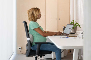 Doomoo On The Go - Almofada de gravidez