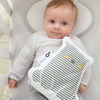 Doomoo Snoogy Almofada Anticólicas Ursinho