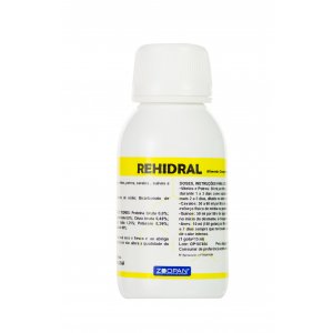 Rehidral 100ml